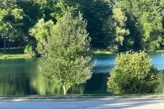 lake-1